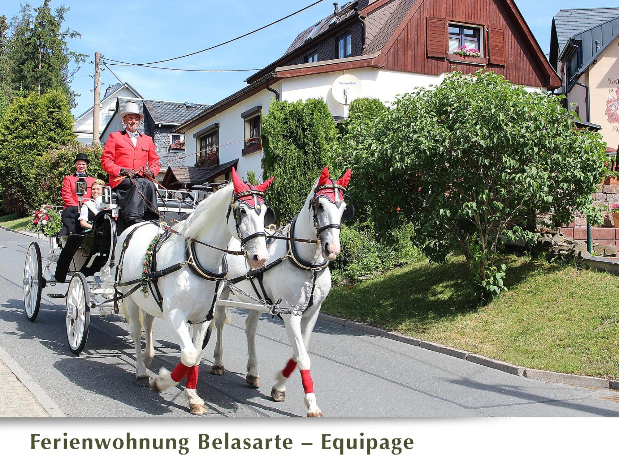 Ferienwohnung Belasarte Bad Elster Luaran gambar