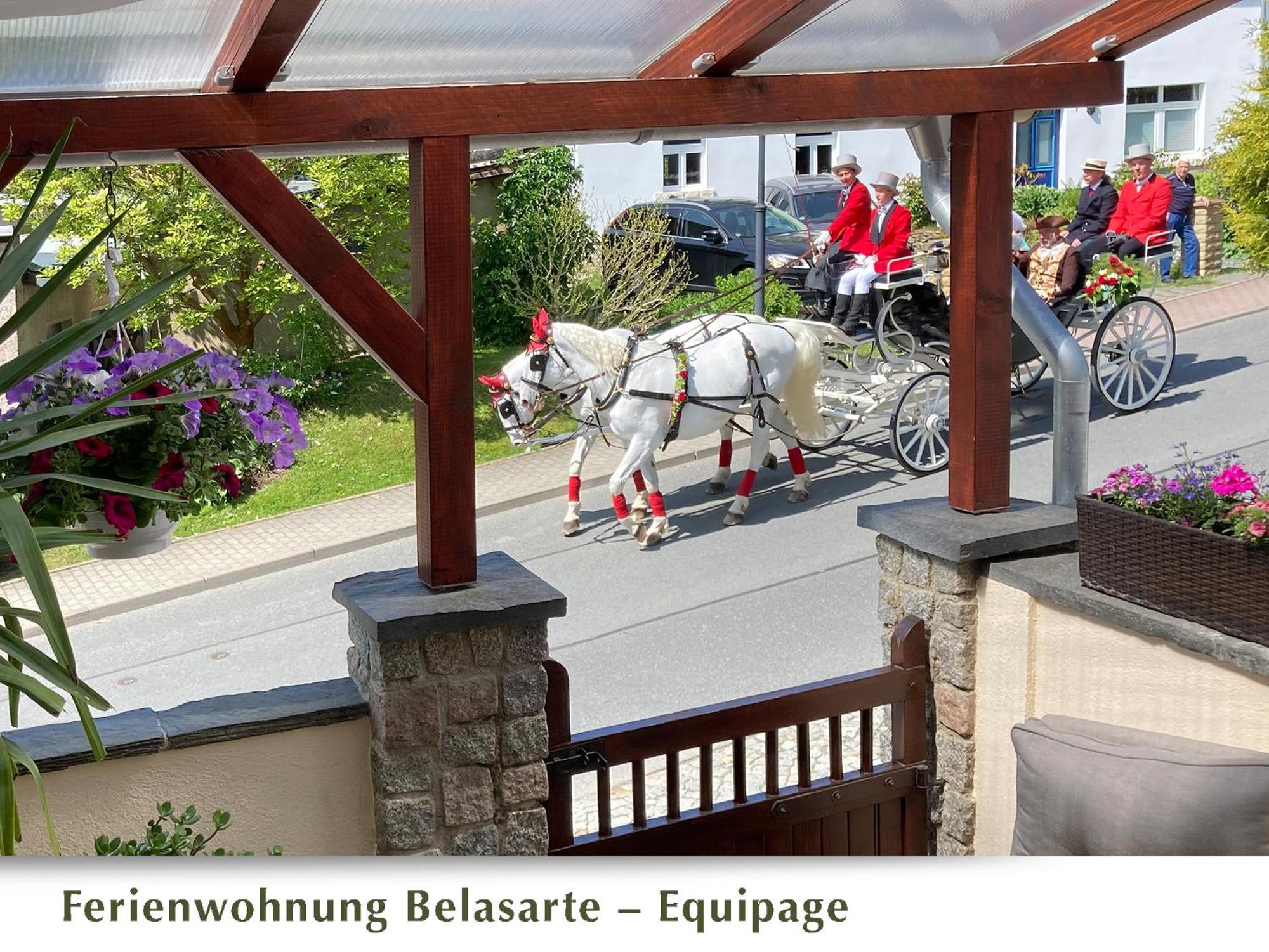 Ferienwohnung Belasarte Bad Elster Luaran gambar